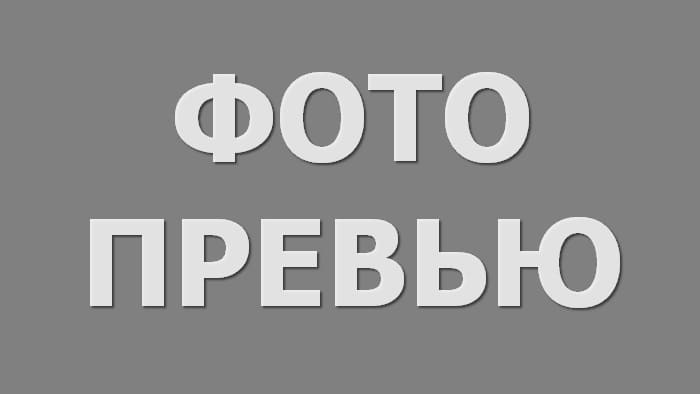 Аренда спецтехники